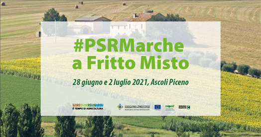 Il PSR Marche a Fritto Misto 2021 - Ascoli Piceno 26.06 – 4.07.2021