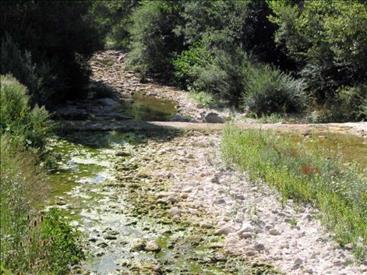 Emergenza idrica 2022: dal 15 luglio disposta la limitazione dei prelievi da tutti i corsi d'acqua del bacino del Metauro