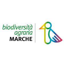 Complemento Sviluppo Rurale Marche 2023-2027: Bando SRA14 “Allevatori custodi dell'agrobiodiversità” e SRA15 “Agricoltori custodi dell'agrobiodiversità” 