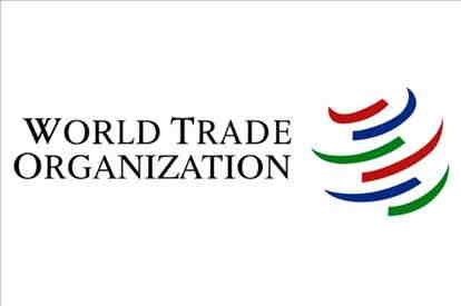 Young Professional Programme: Lavoro a Ginevra al World Trade Organization