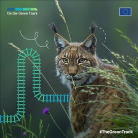 #TheGreenTrack: iniziativa dell'UE dedicata ai giovani per la protezione della natura