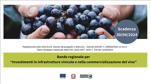 Campagna vitivinicola 2024/2025: Bando Investimenti in impianti di trattamento, in infrastrutture vinicole e nella commercializzazione del vino