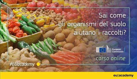 EU Academy: Corso online 'Soil, a burst of life' ora in italiano