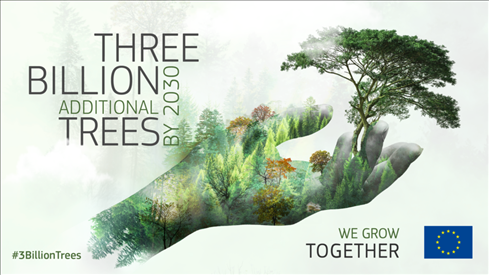Tre miliardi di nuovi alberi entro il 2030: registra il tuo con l'app MapMyTree