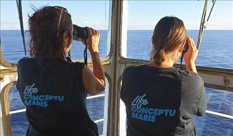 LIFE Conceptu Maris: progetto di monitoraggio di cartacei e tartarughe marine nelle rotte del Mediterraneo