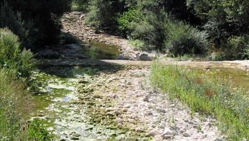 Emergenza idrica in Provincia di Pesaro-Urbino, disposta la sospensione dei prelievi da tutti i corsi d'acqua dal 13 agosto al 15 ottobre 