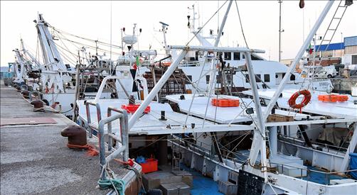Visita dell’Assessore regionale Antonini al Porto di Ancona: forte vicinanza al mondo della pesca a strascico
