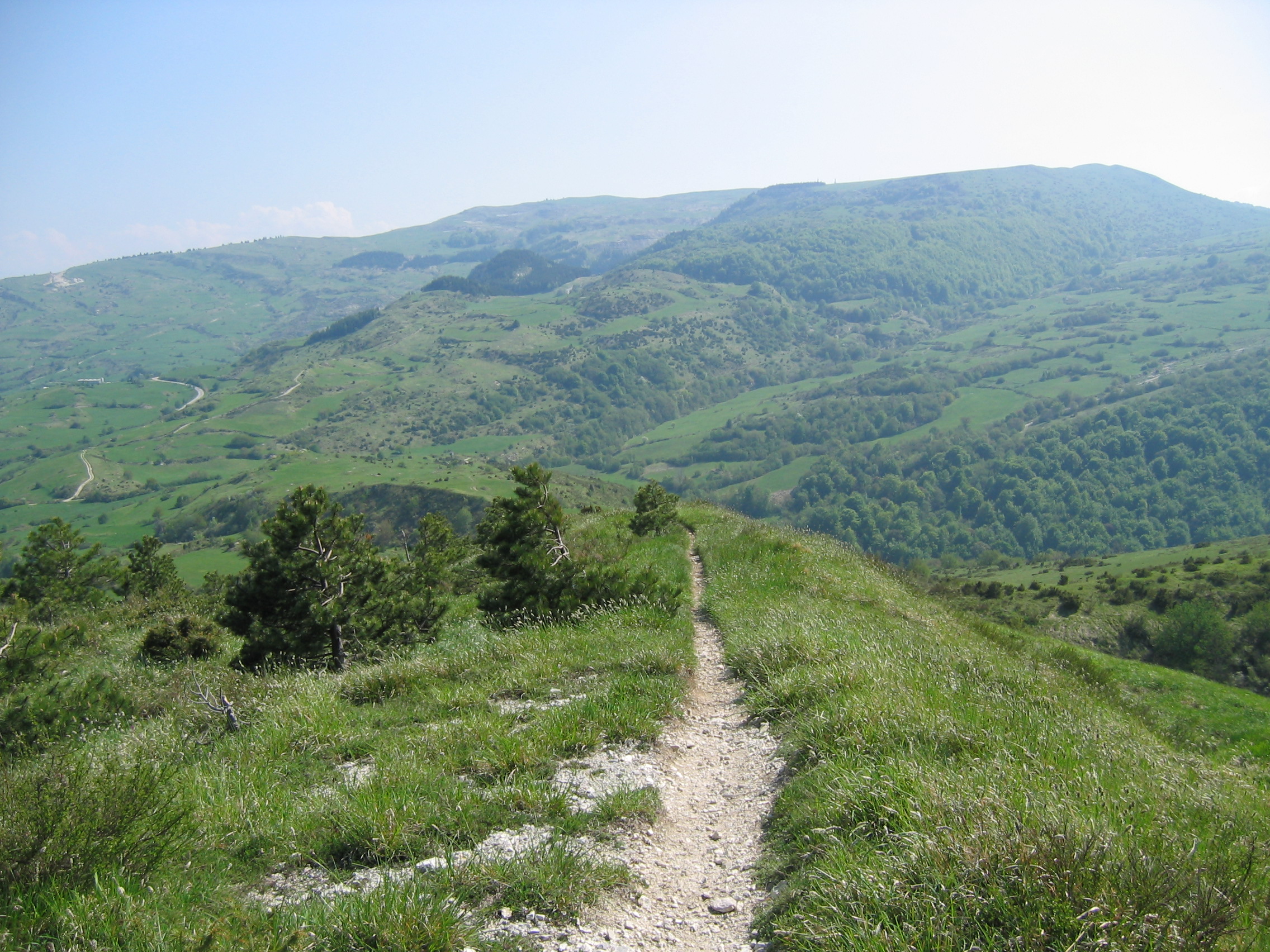 Prati del Monte Carpegna