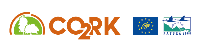 CO2RK logo