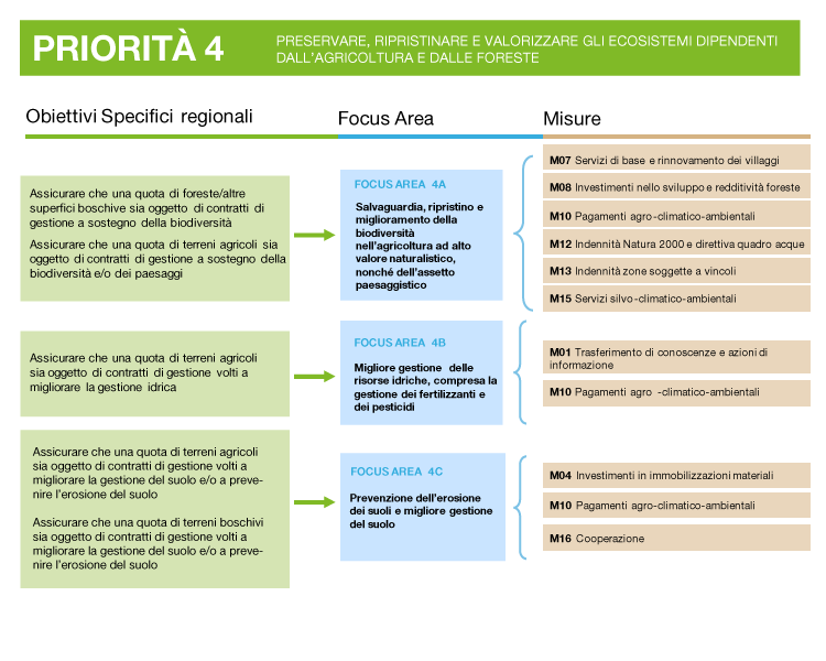 descrizione della priorità 4: obiettivi, focus area e misure