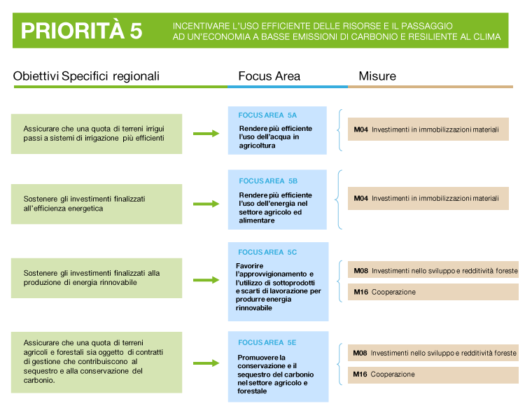 descrizione della priorità 5: obiettivi, focus area e misure