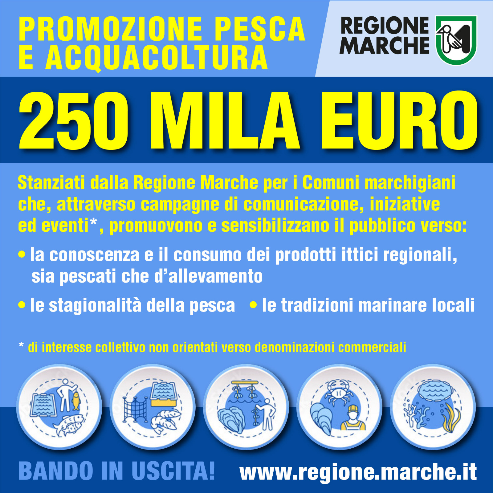 Bando promozione Pesca e Acquacoltura