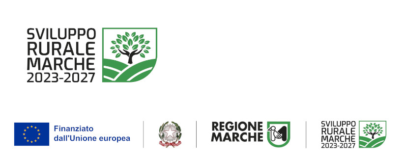 CSR Marche 2023 2027