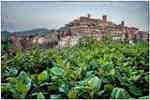 Sarnano - foto di Ignacio Maria Coccia