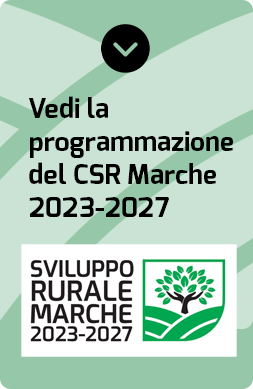 #SviluppoRuraleMarche
