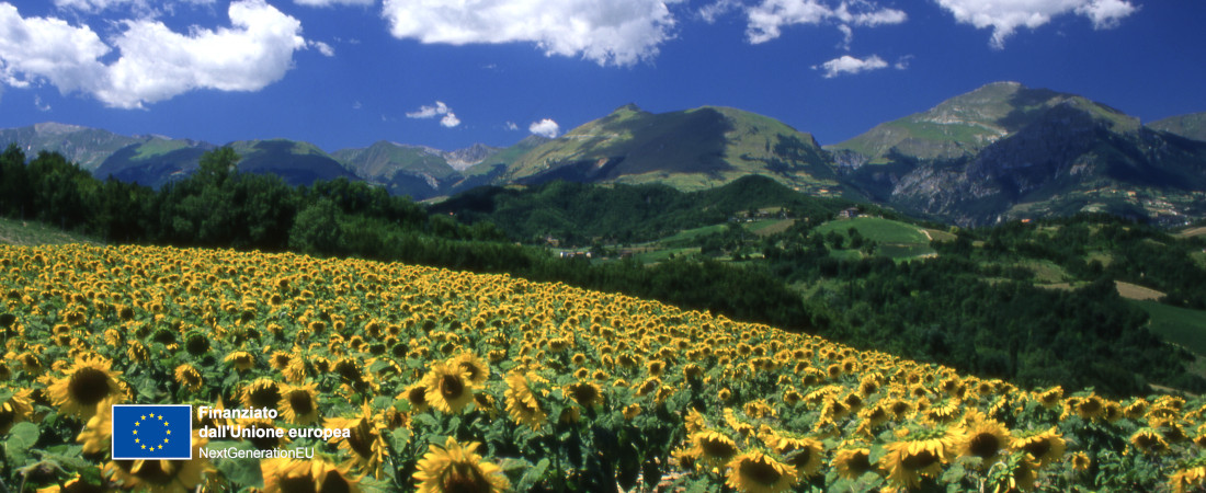 Panorama Sibillini